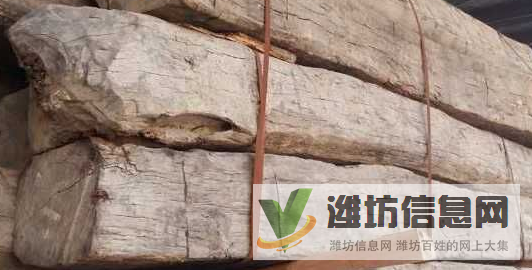 濰坊進口原木及木材清關(guān)報關(guān)